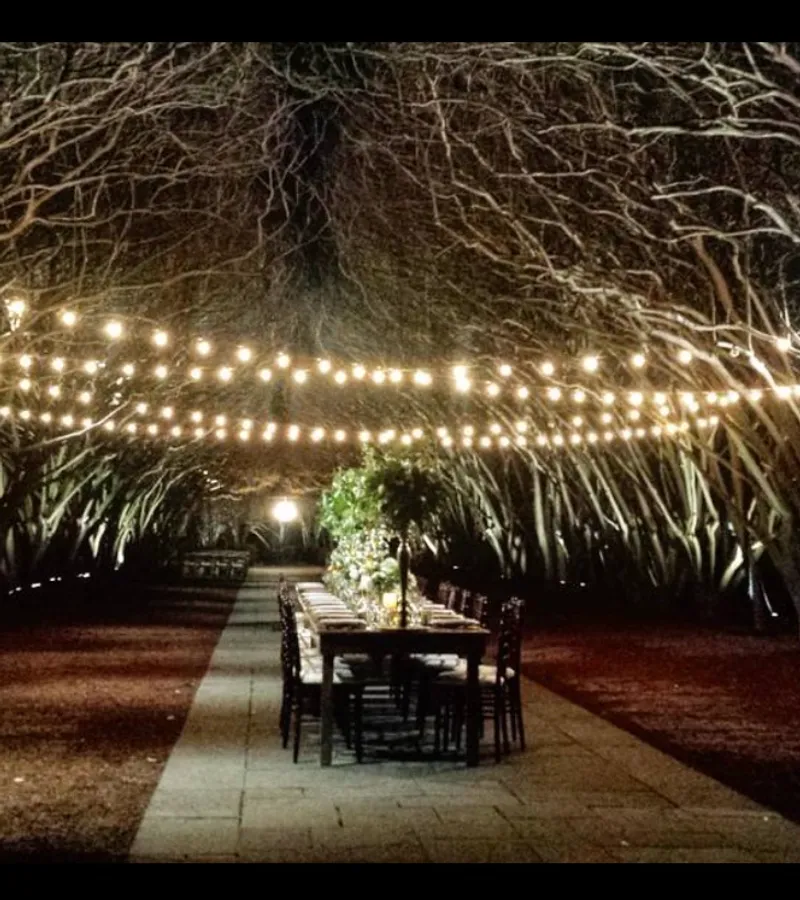 The Noble Strings at Dallas Arboretum & Botanical Garden — Dallas, TX